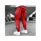 Blood Red Paisley Cargo Pants