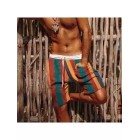 Men's Simple Holiday Colorful Vertical Print Shorts