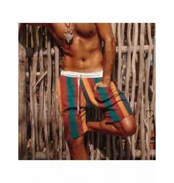 Men's Simple Holiday Colorful Vertical Print Shorts