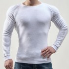 Men's Fashion Casual Crew Neck Sweater Long Sleeve Knitwear