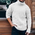 Men's  Texture Sweater