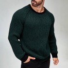 Men Ragn Sleeve Contrast Trim Sweater