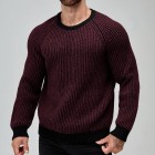 Men Ragn Sleeve Contrast Trim Sweater