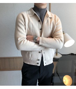 Men's Autumn And Winter Elegant Knitted Sweater