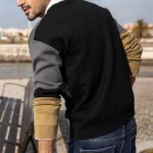 Men's Casual Sweater Colorblock  Round Neck Pullover Knitwear