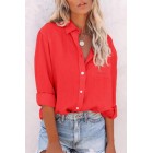 Solid A pel Long Sleeve Blouse