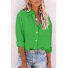 Solid A pel Long Sleeve Blouse